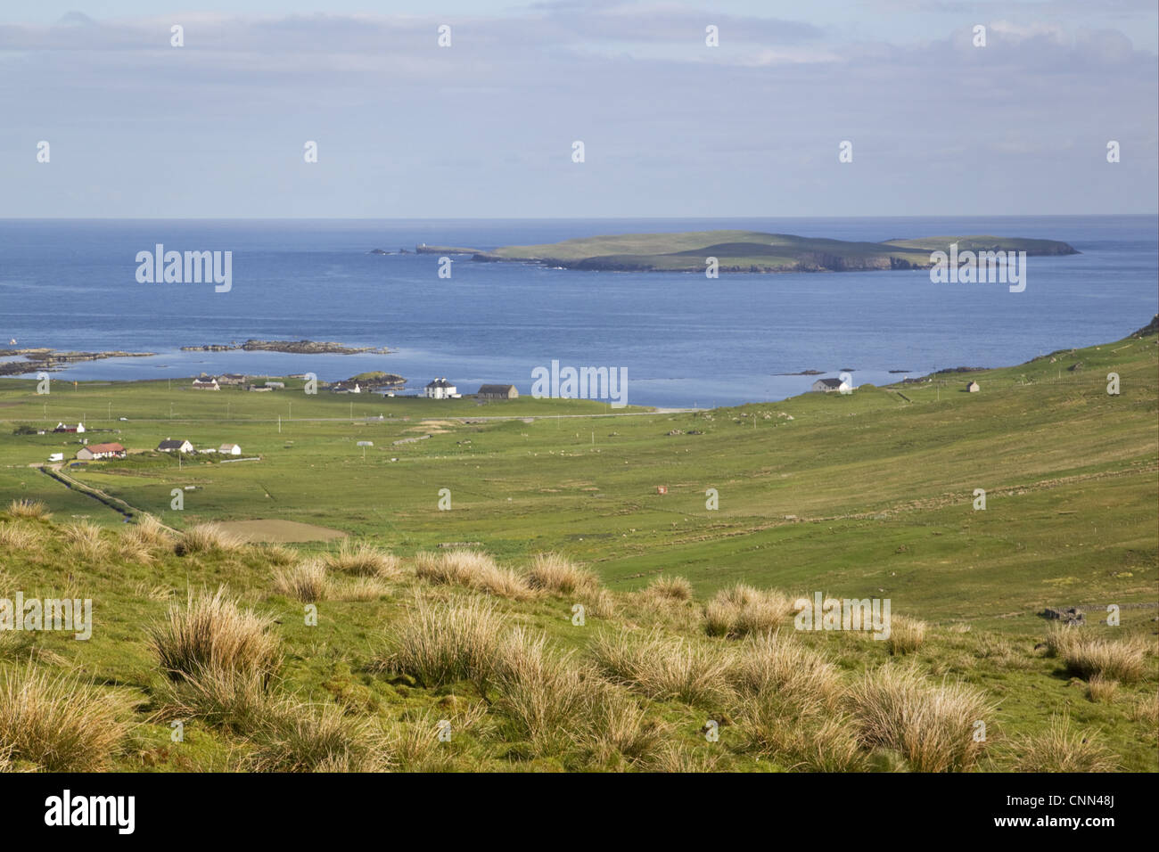 View of coastal pasture and island, Mousa Island, from above South Voxter, Shetland Islands, Scotland, june Stock Photo