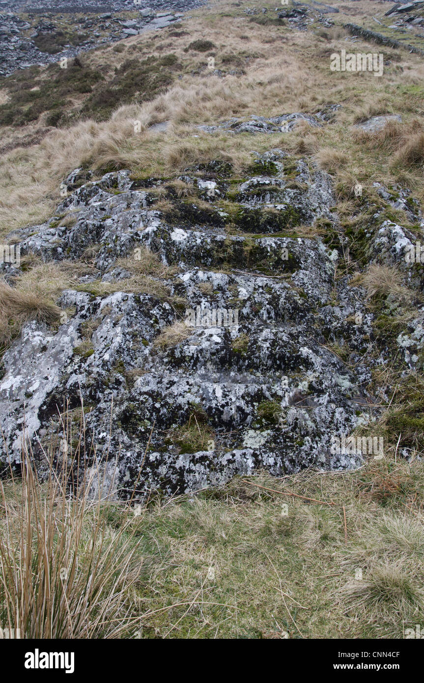 Worn stairway in abandoned slate mine, Cwm Pennant, Snowdonia, Gwynedd, North Wales, february Stock Photo