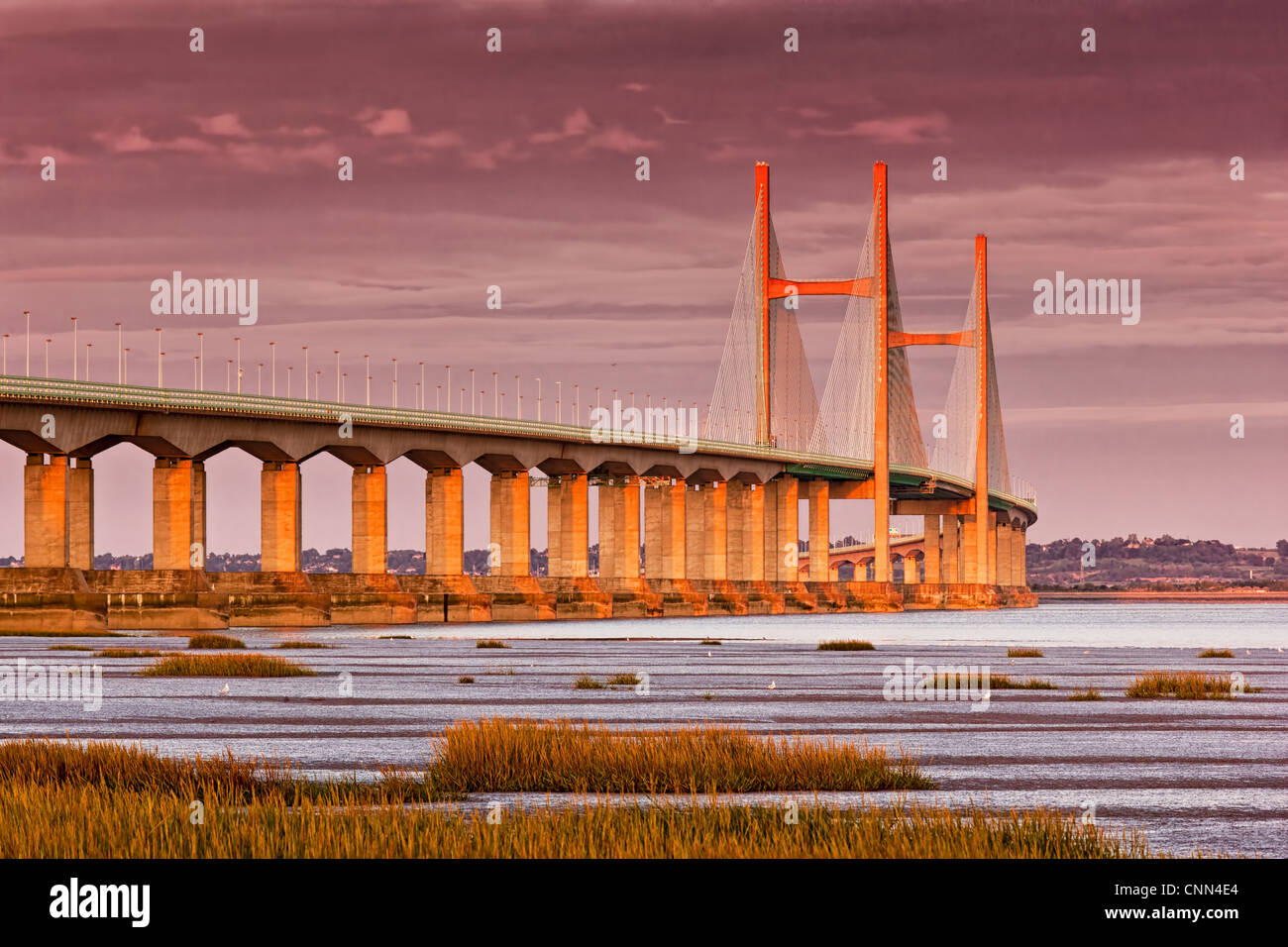 River road crossing hi-res stock photography and images - Alamy