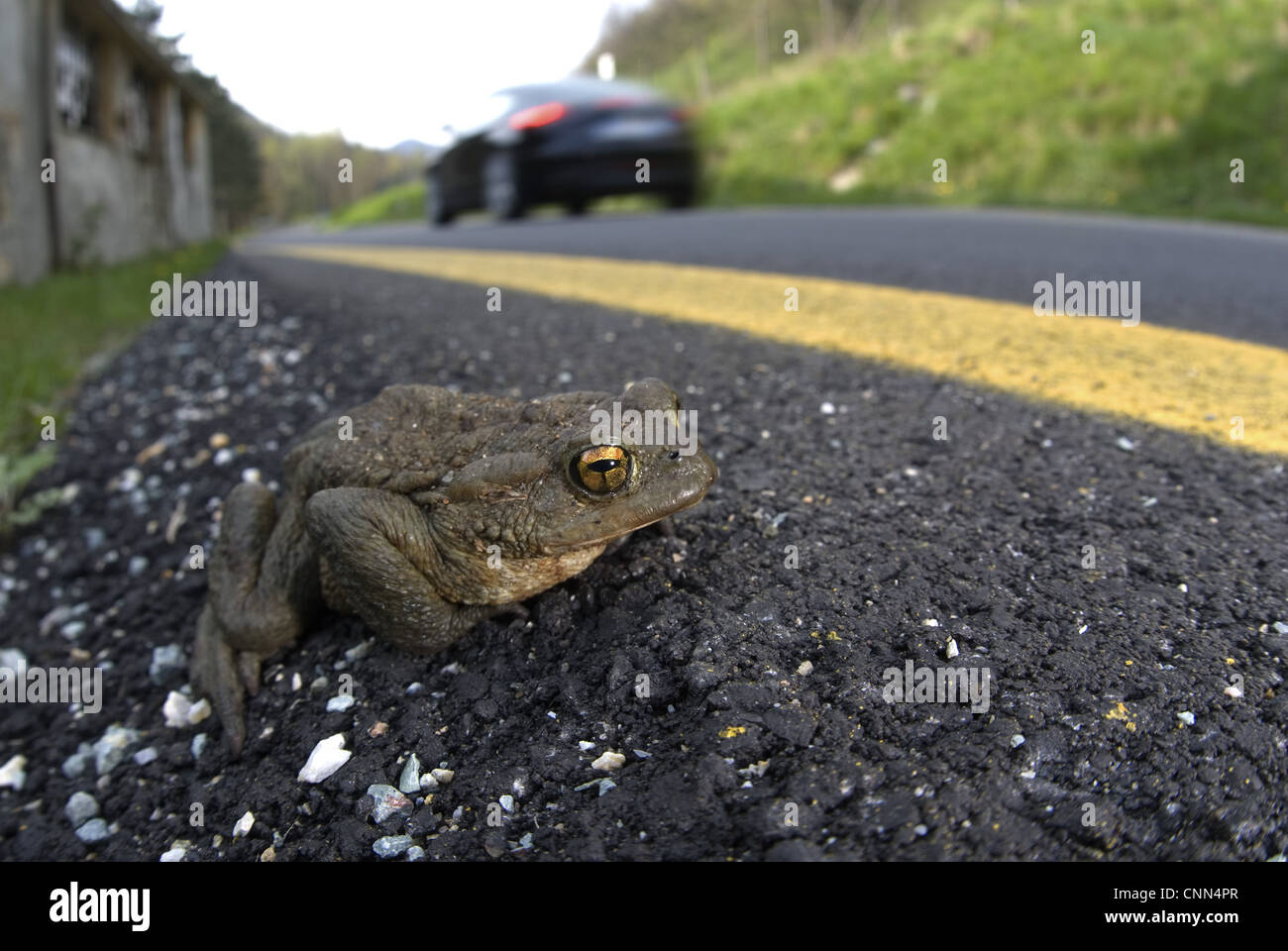 Cars returning to roads hi-res stock photography and images - Alamy