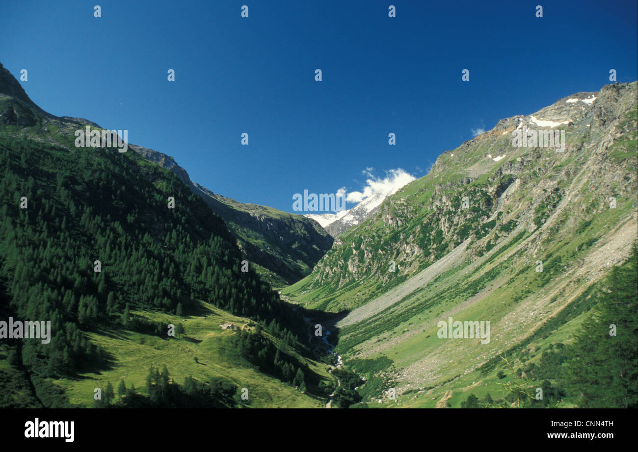 Italy Dora di valgrisanche, Gran Paradiso, Italy Stock Photo