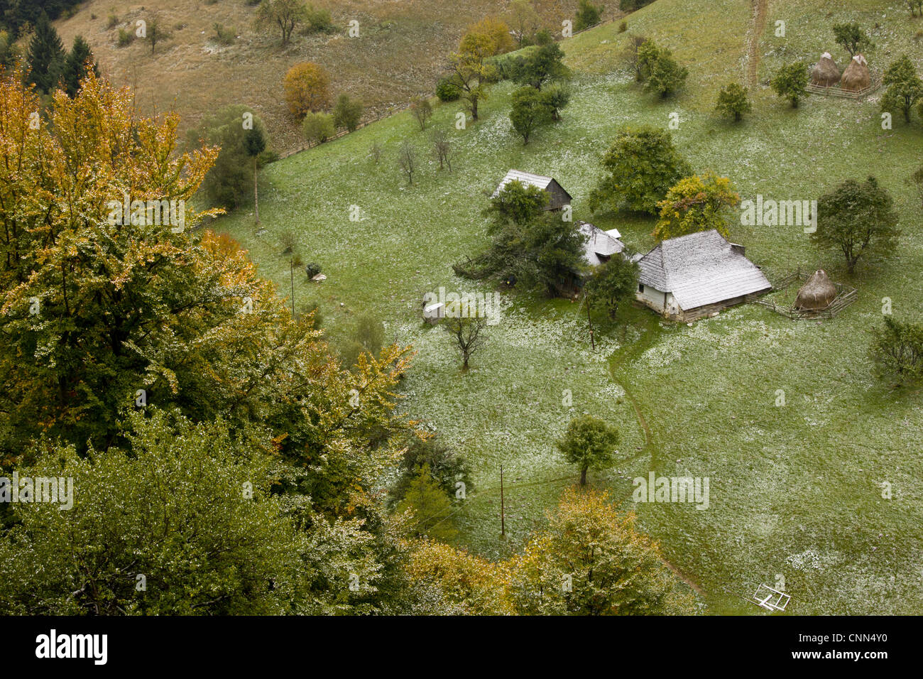 View traditional farmland old houses barns fruit trees pasture light covering snow autumn Magura Village Piatra Craiulu Stock Photo