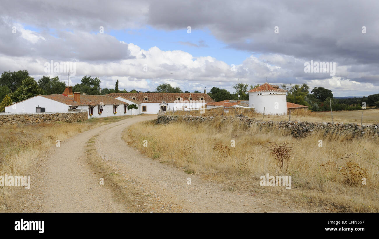 Typical 'Finca', rural building complex with 'Palomar' pigeon house in dehesa, Salamanca, Castile and Leon, Spain, september Stock Photo