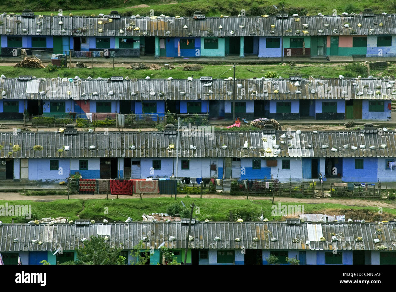 Tea plantation workers housing on hillside, Munnar, Western Ghats, Kerala, India Stock Photo