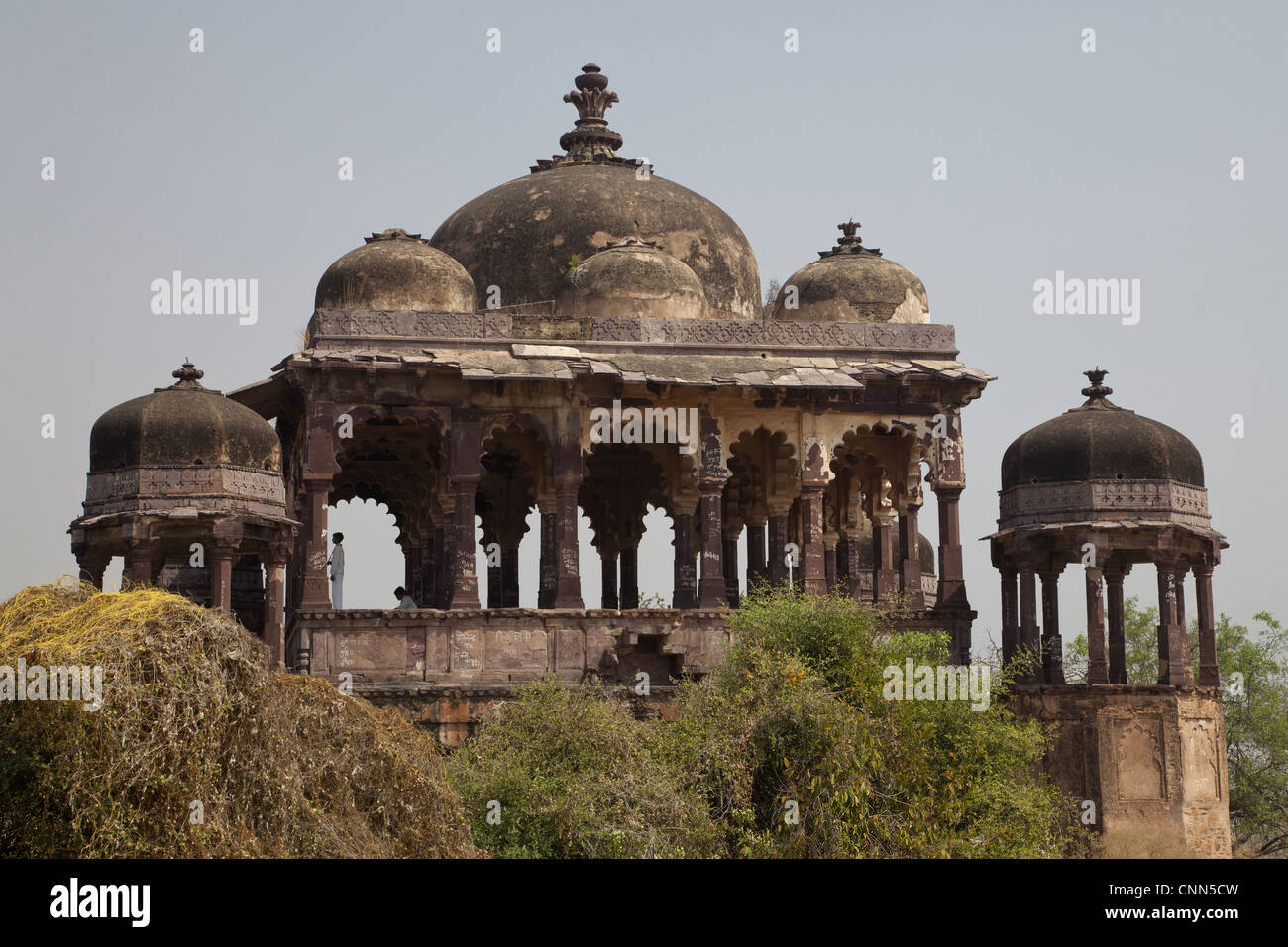 Historic fortress in forest, Ranthambore N.P., Rajasthan, India Stock Photo