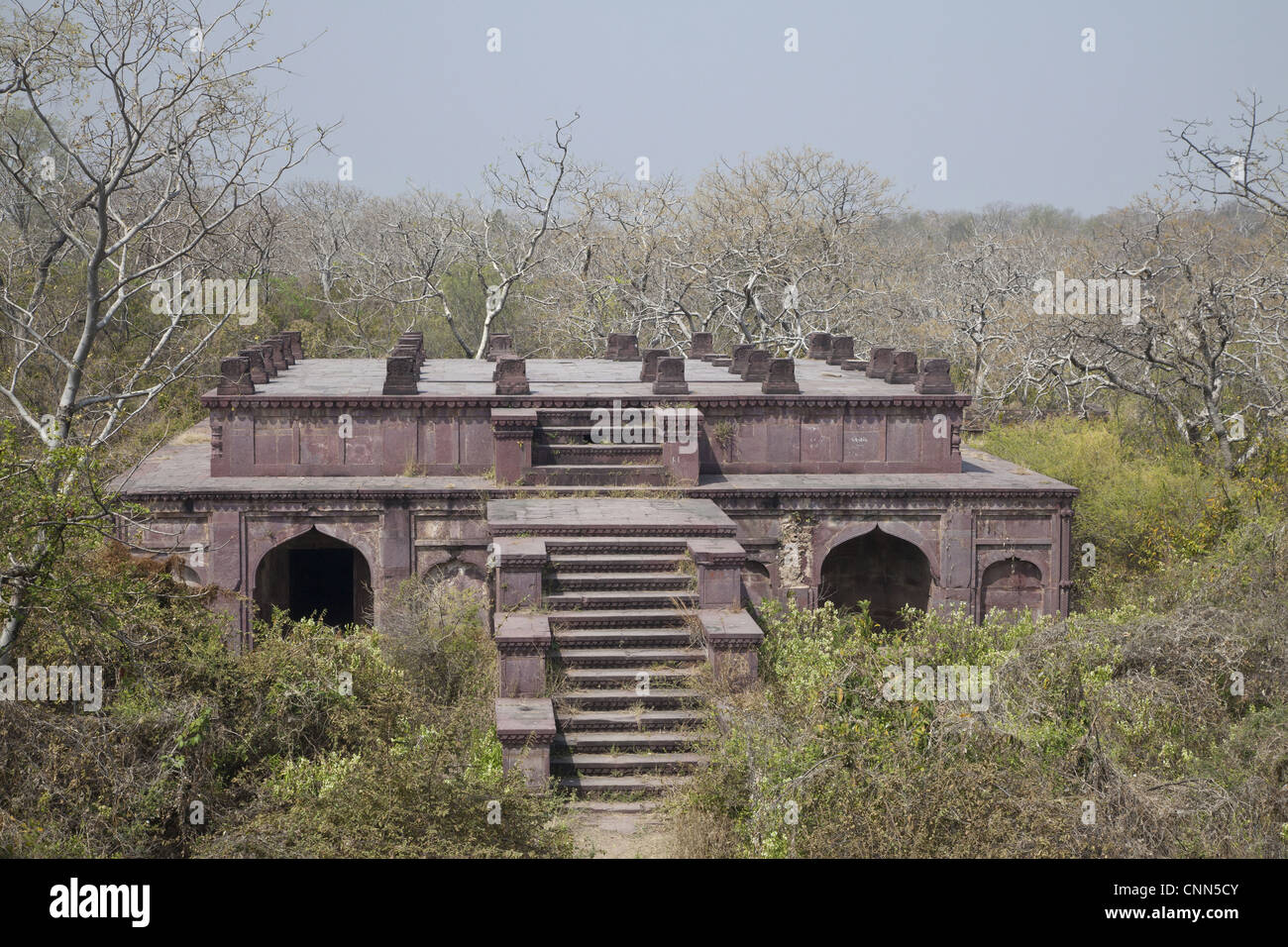 Old building in ranthambore national hi-res stock photography and ...
