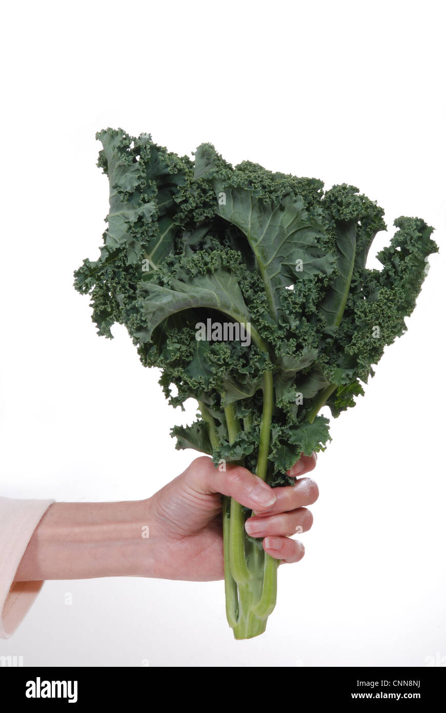 Hand holding a bunch of fresh, organic kale. Stock Photo