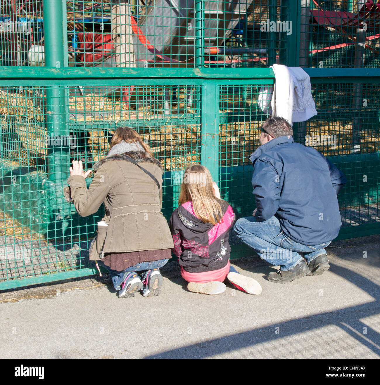 Family at Howletts Animal Zoo Park The Aspinall Wild Animal Park Stock Photo