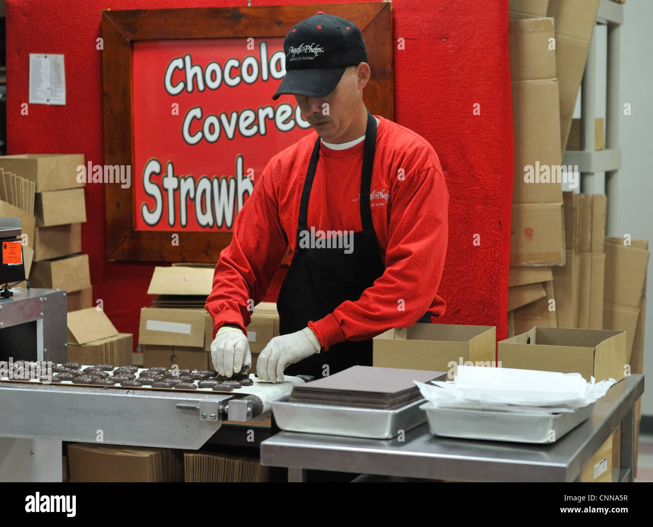Worker packaging chocolates at the Angell and Phelps chocolate factory in Daytona Beach, Florida