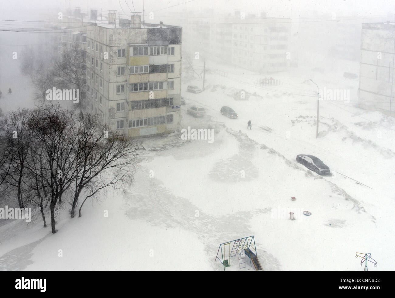 Winter. Blizzard snowfall in Russia, Sakhalin, Yuzhno-Sakhalinsk. low visibility, snowdrift. Roads and streets covered with snow Stock Photo