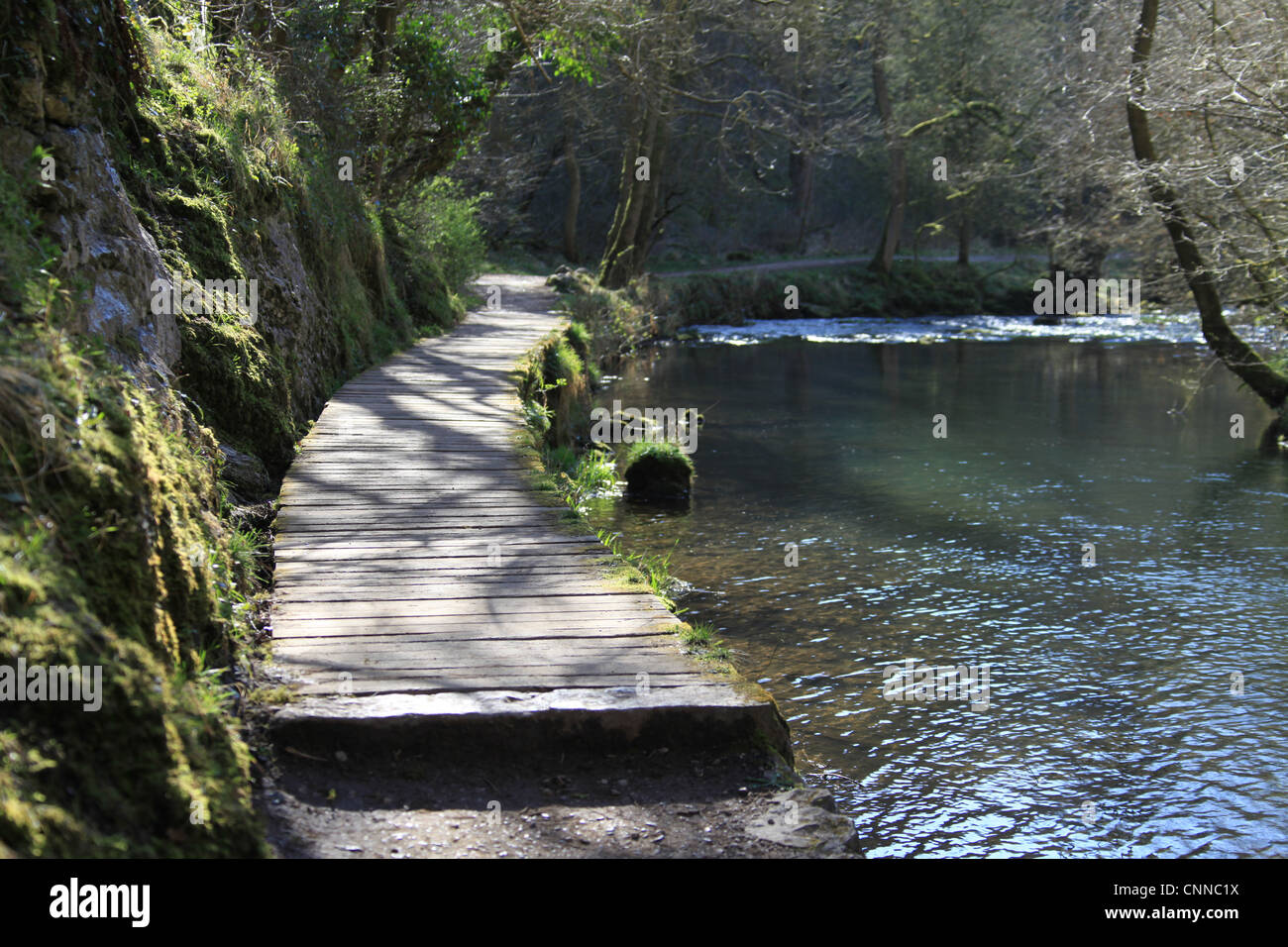 Raised Wooden Walkway in Dovedale Stock Photo
