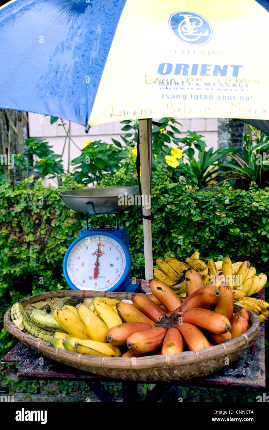 philippines, siquijor island, larena town fruit stall Stock Photo