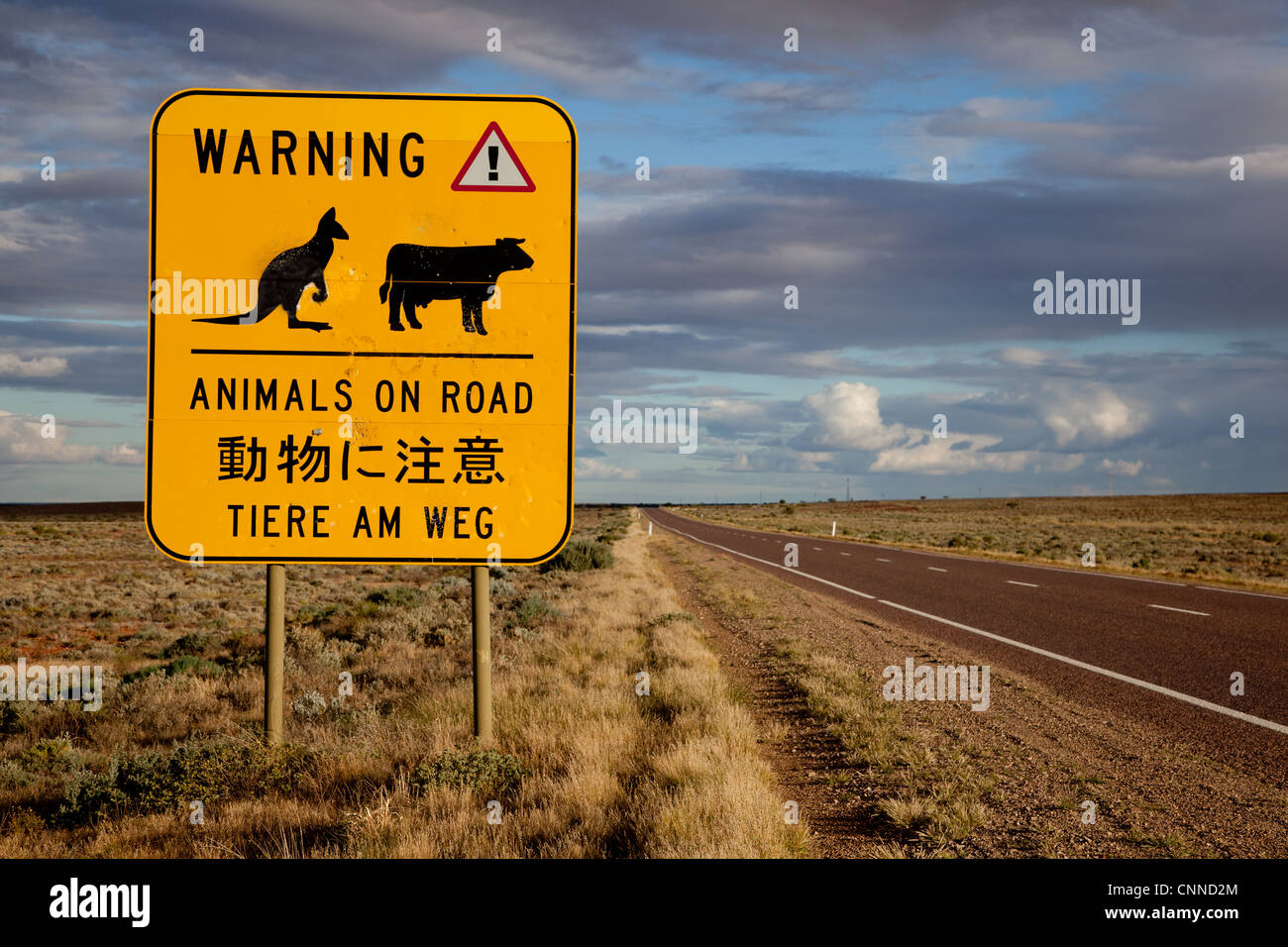 Animal warning sign. Stuart Highway Pimba South Australia Stock Photo