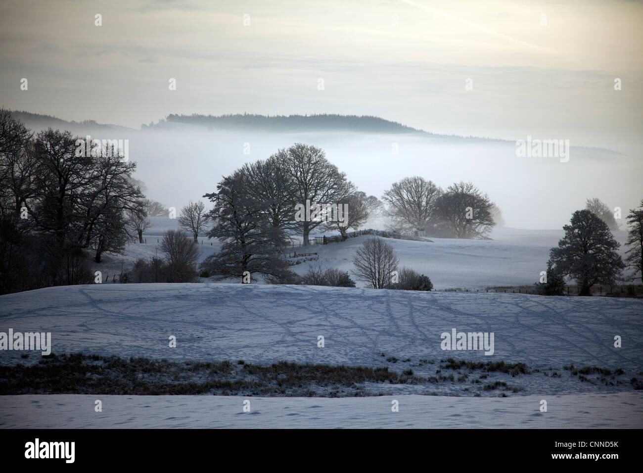 Snow covered landscape at Knipefold in n the Lake District, cumbria, UK Stock Photo
