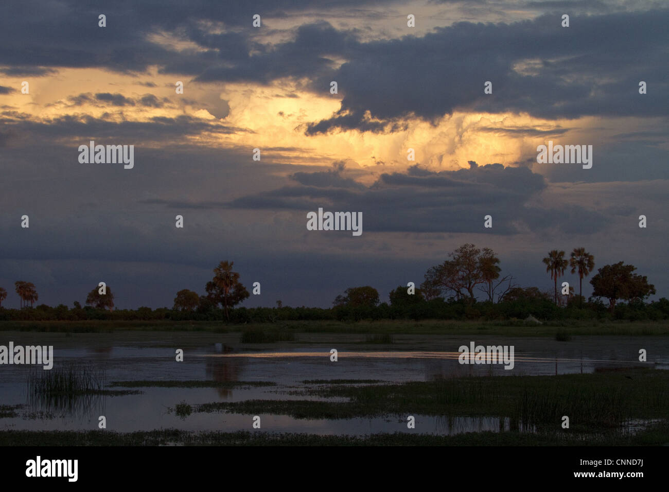Setting, sun, water, Lebala, Okavango, Delta, Botswana; africa; african; sunset, Stock Photo