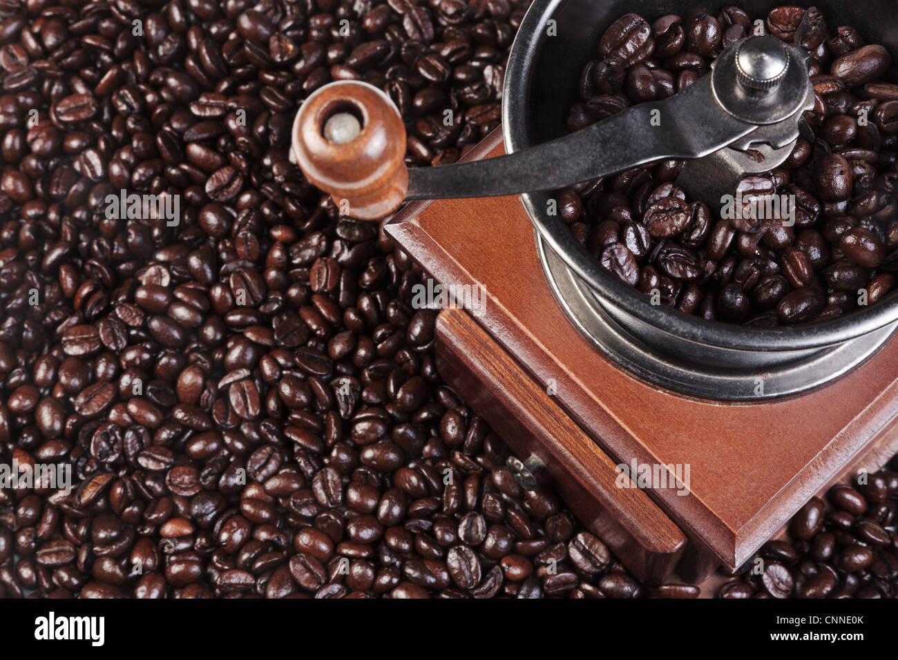Photo of a coffee grinder with fresh roasted arabica and robusta beans Stock Photo