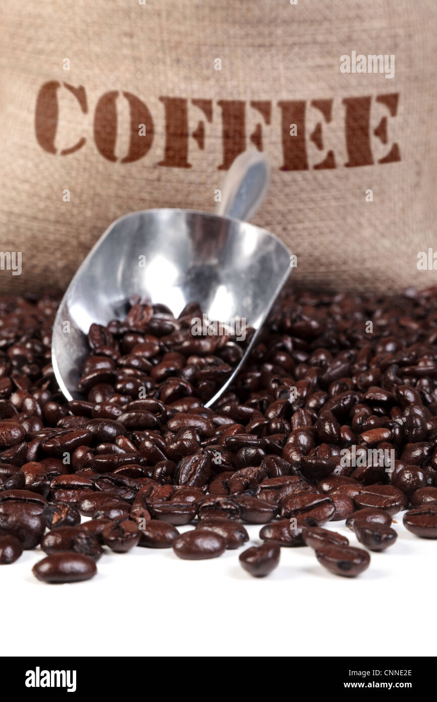 Photo of fresh roasted coffee beans with a scoop and hessian sack. Stock Photo