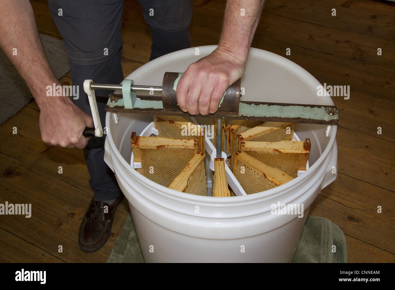 The honey comb frames are placed into a spinning drum and then spun at