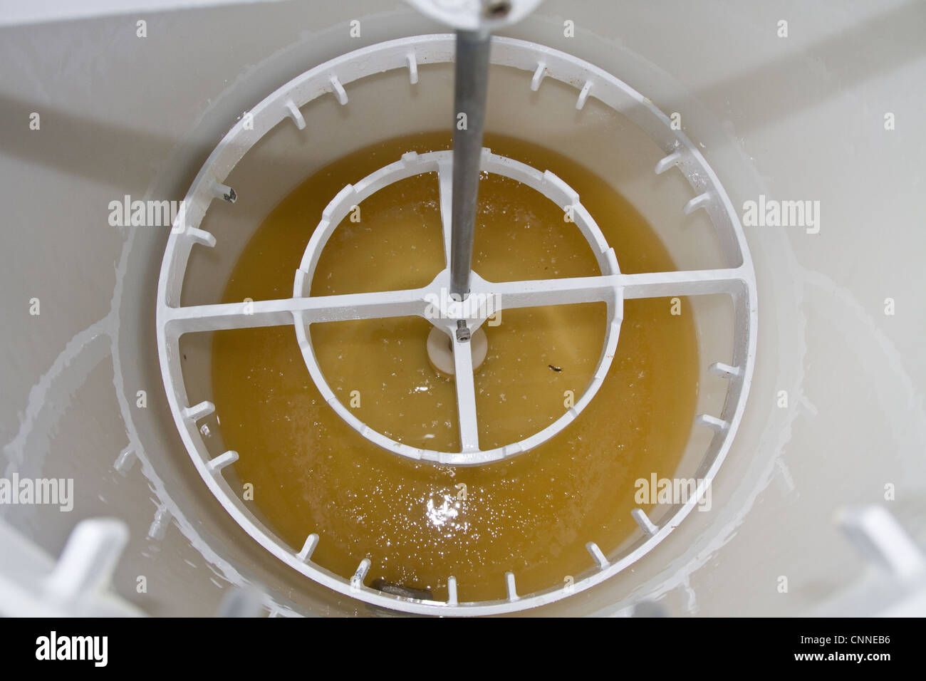 Looking into the spinning drum after the honey comb frames have been removing, showing the newly spun runny honey. Stock Photo