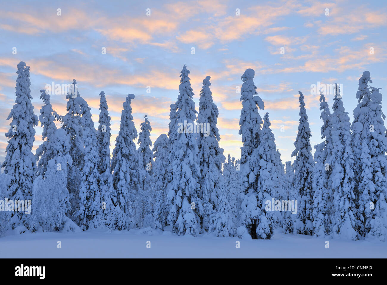 Kuusamo, Northern Ostrobothnia, Oulu Province, Finland Stock Photo