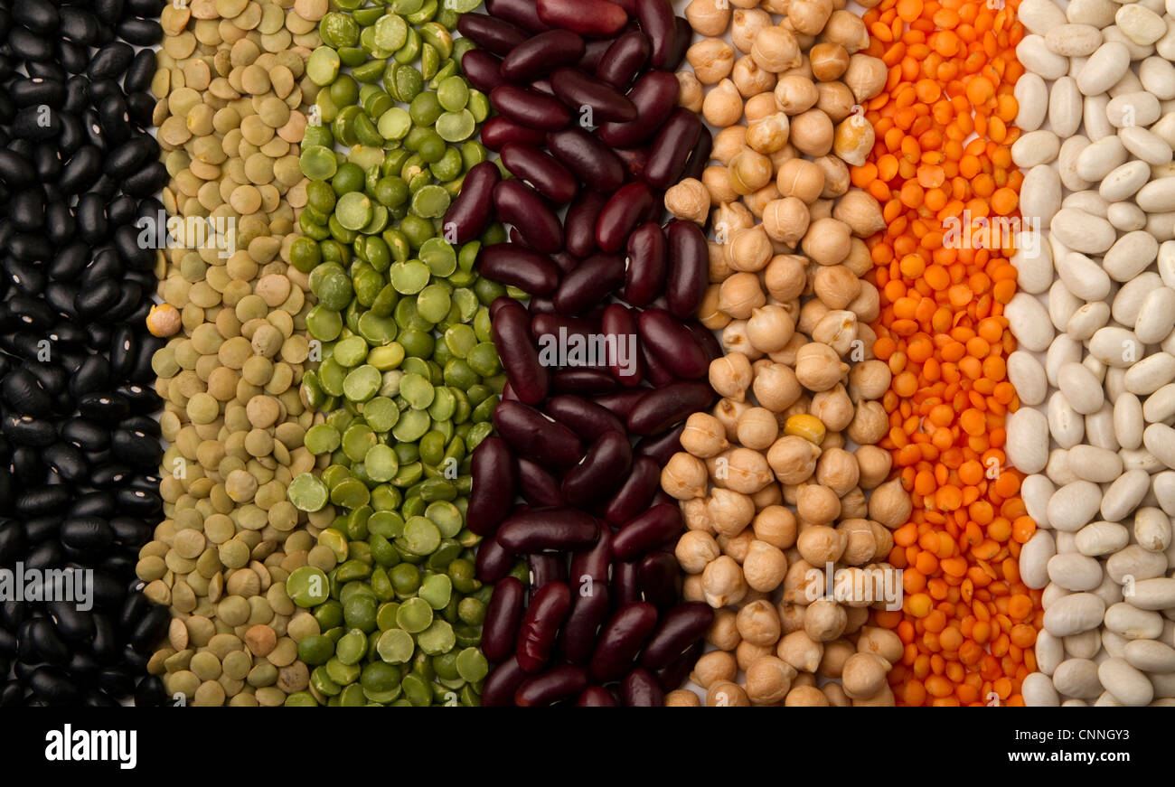 mixed dried beans paved strips, for a colorful background Stock Photo