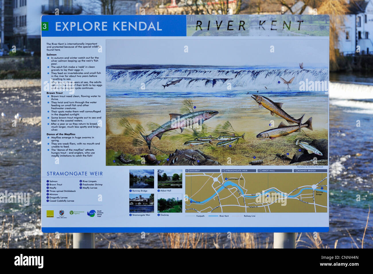 Explore Kendal. River Kent, Information Board 3. Stramongate Weir, Kendal, Cumbria, England, United Kingdom, Europe. Stock Photo