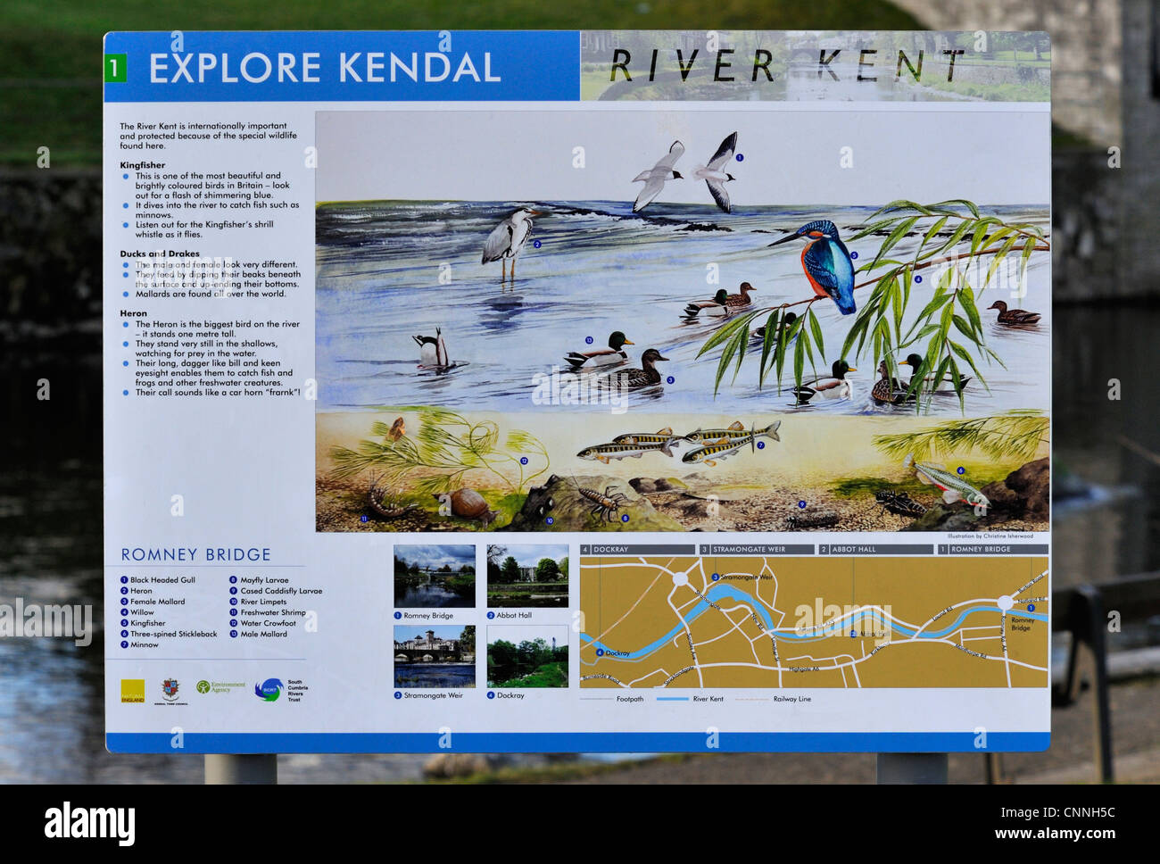 Explore Kendal. River Kent, Information Board 1. Romney Bridge, Kendal, Cumbria, England, United Kingdom, Europe. Stock Photo