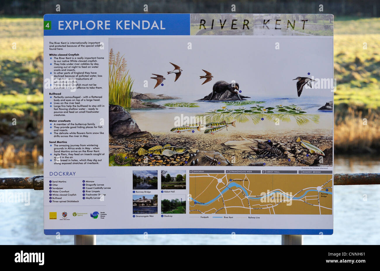 Explore Kendal. River Kent, Information Board 4. Dockray, Kendal, Cumbria, England, United Kingdom, Europe. Stock Photo