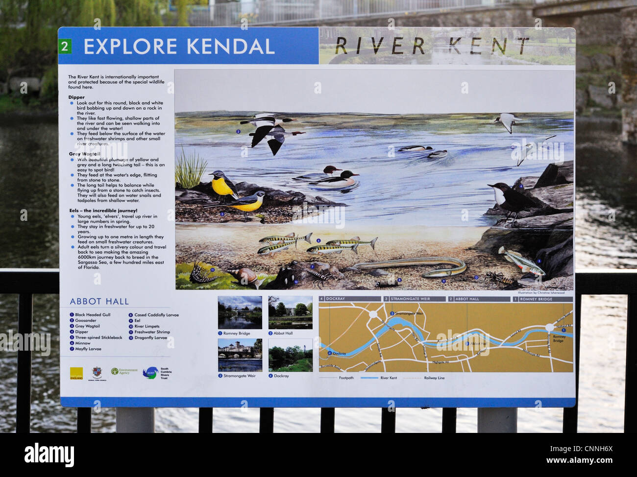 Explore Kendal. River Kent, Information Board 2. Abbot Hall, Kendal, Cumbria, England, United Kingdom, Europe. Stock Photo