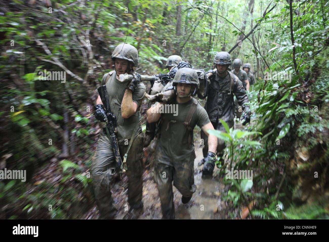 Jungle warfare hires stock photography and images Alamy