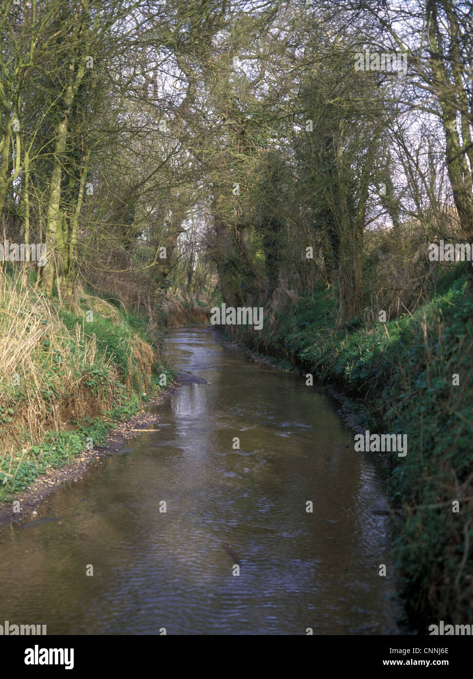 The River Deben rises parish Debenham country Suffolk runs along prolonged ford through village claims be third longest ford Stock Photo