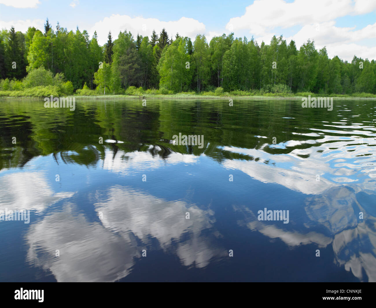 Trees reflected in still lake Stock Photo