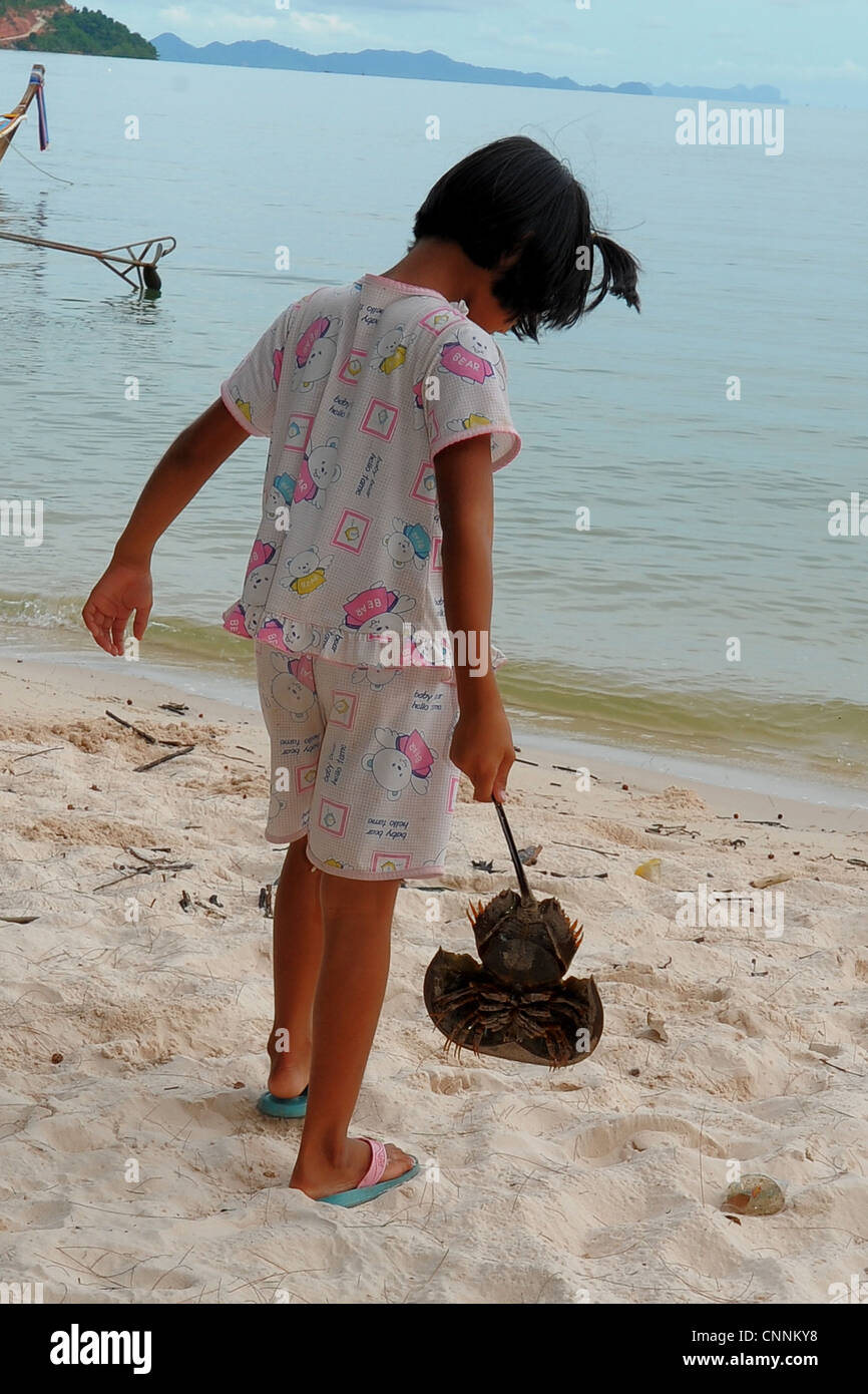 little girl putting horseshoe crab back into the sea,part of a conservation program to save fish,koh sukon,trang,thailand Stock Photo