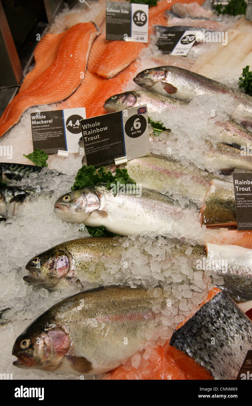 Tesco Fish atelieryuwa.ciao.jp