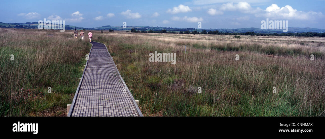 Reserves Walk ways over Tregaron Bog - Dyfed, Wales Stock Photo