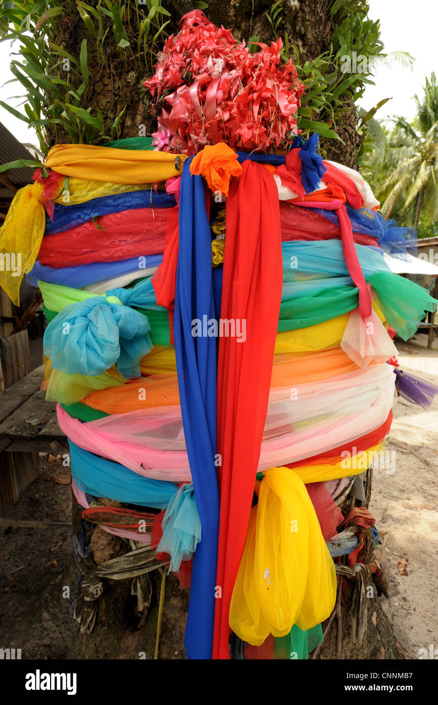 A wishing tree tied with colourful ribbons, for good luck and for a good days catch , the fisherman of  ko sukon, thailand Stock Photo