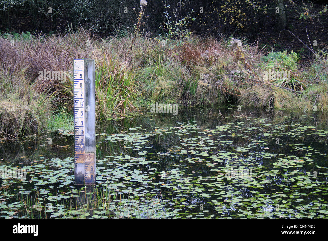 Water level depth gauge in pond at edge fen in valley fen reserve