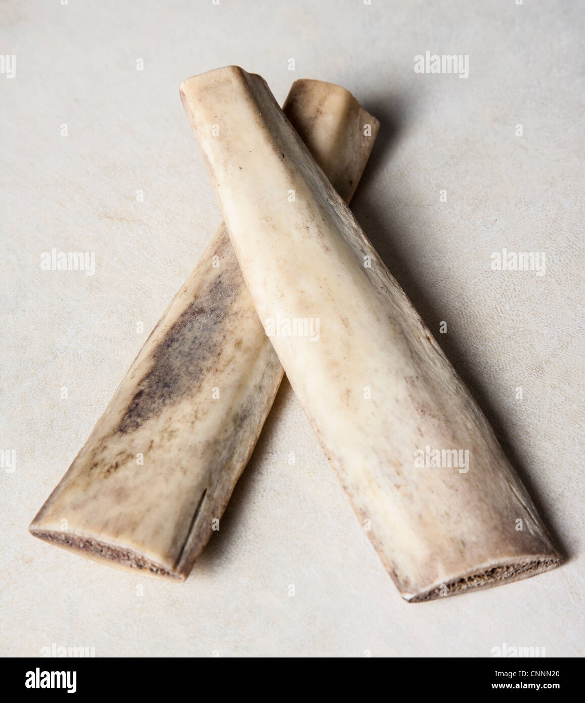 Rhythm bones used in traditional Irish music, and of calf bones. Stock Photo