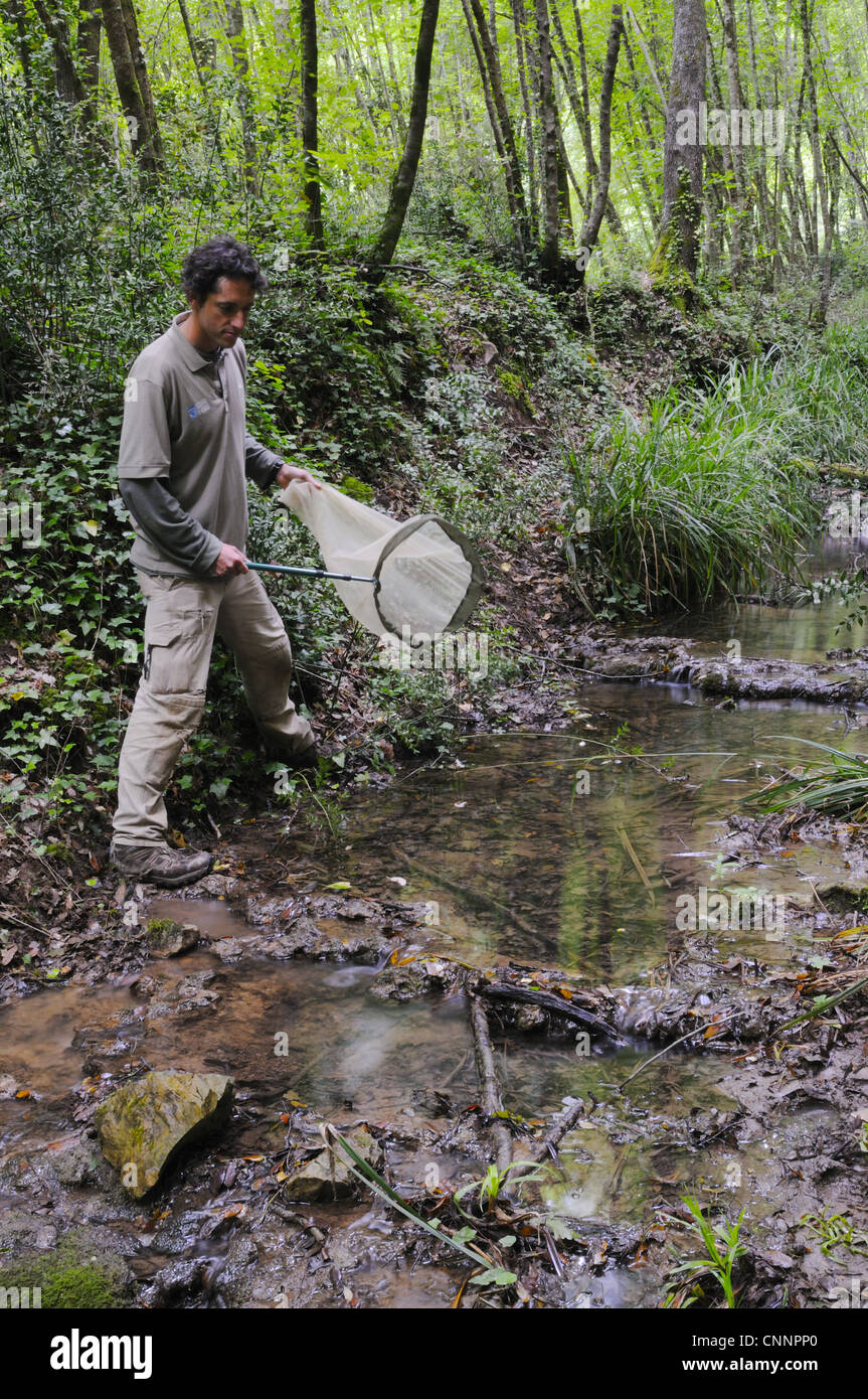Enthomologist catching insects with net along stream during survey, Italy, june Stock Photo