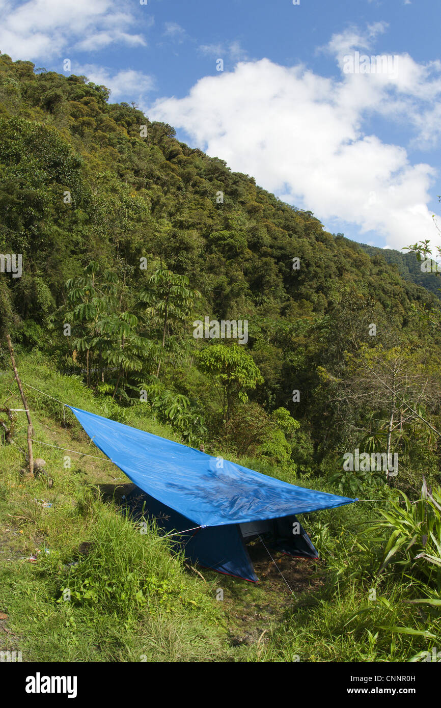 Tent with shade, biologists camping in montane rainforest habitat, Andes, Peru Stock Photo