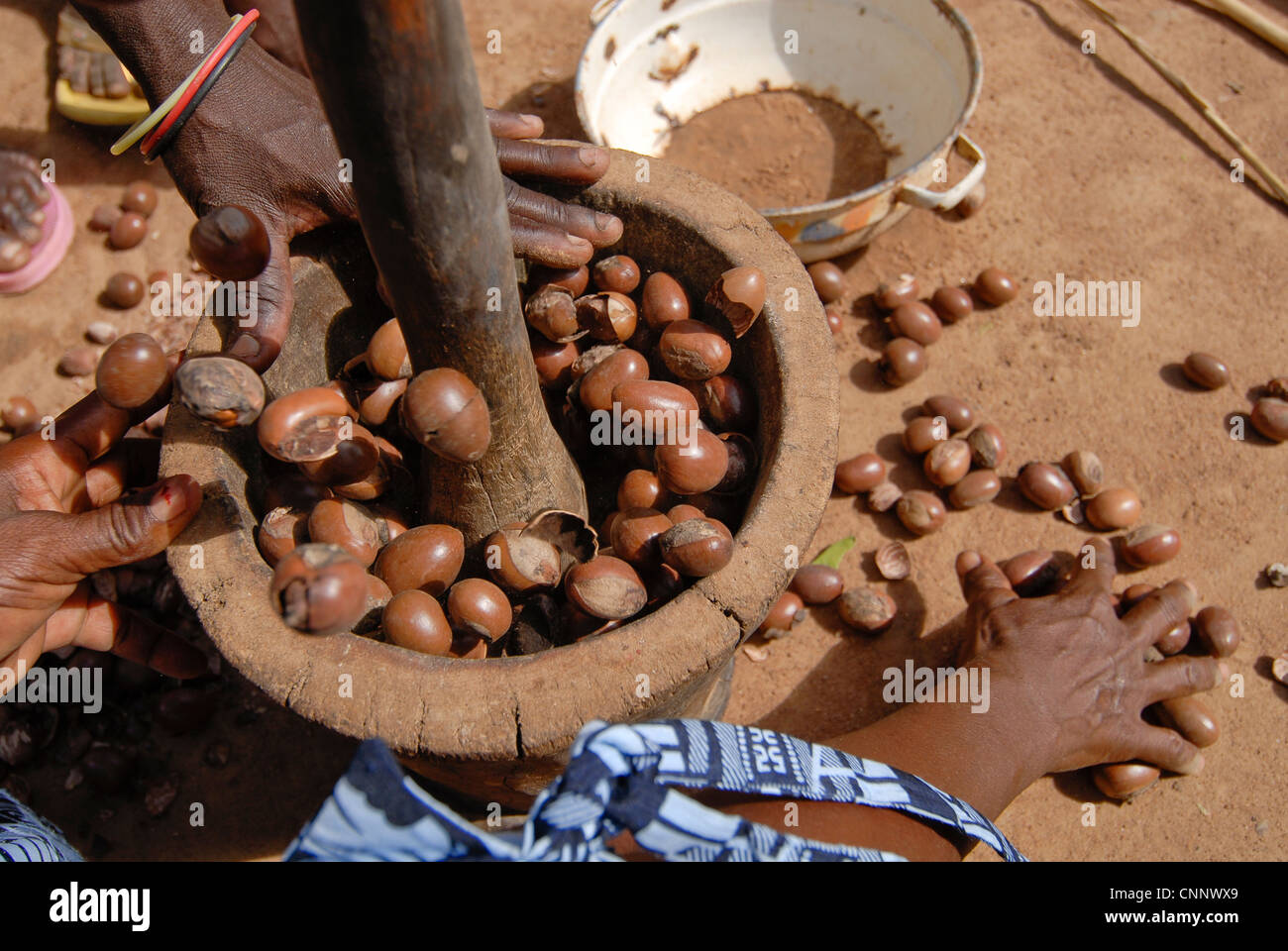 Burkina Faso , women produce fair trade shea butter from Shea nuts , shea butter is used as cooking oil or for cosmetics Stock Photo