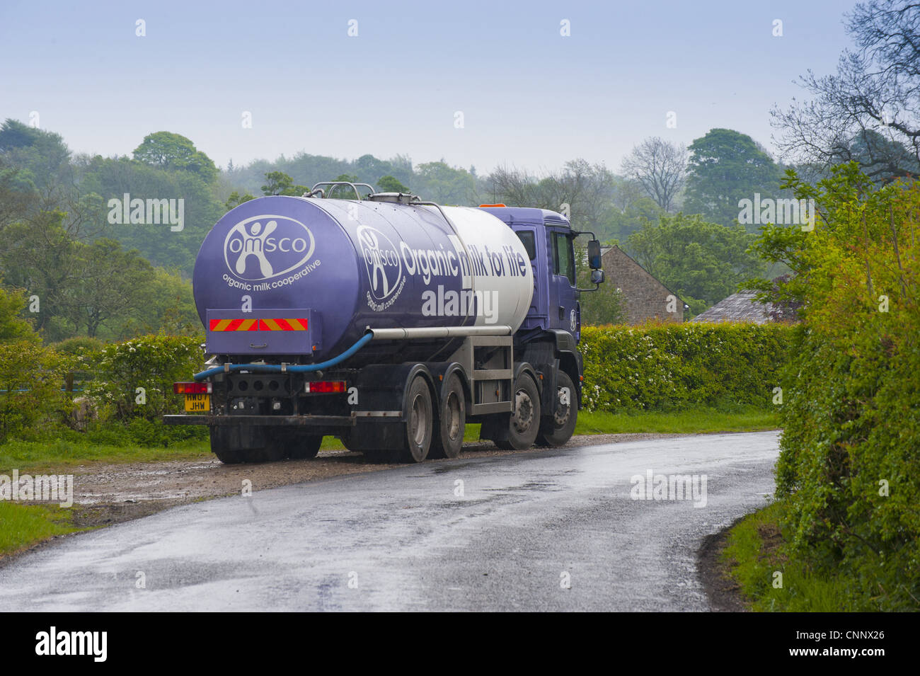 OMSCO Organic Milk Cooperative tanker, used for collecting organic milk, Chipping, Lancashire, England, may Stock Photo