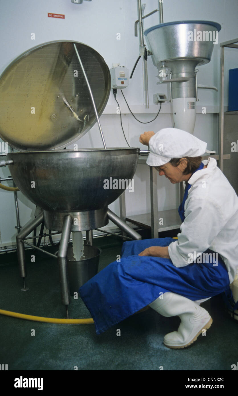 Dairy farming, worker filtering milk in parlour, Prosperous Home Farm