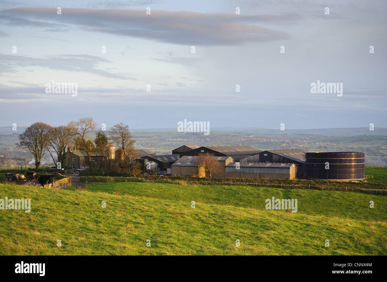 Forty acre farm hires stock photography and images Alamy