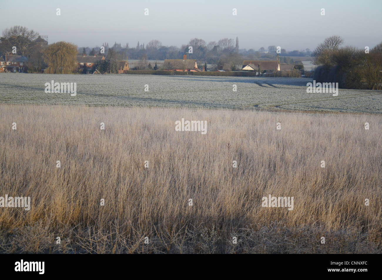 Frost covered permanent setaside beside arable field, Bacton, Suffolk