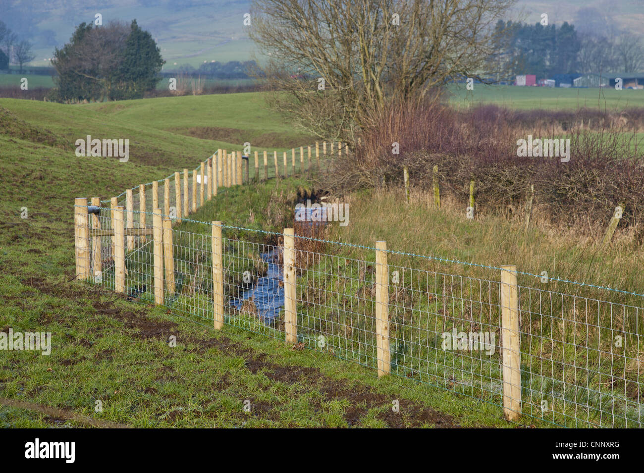 Stream flowing through pasture protected livestock new wire mesh