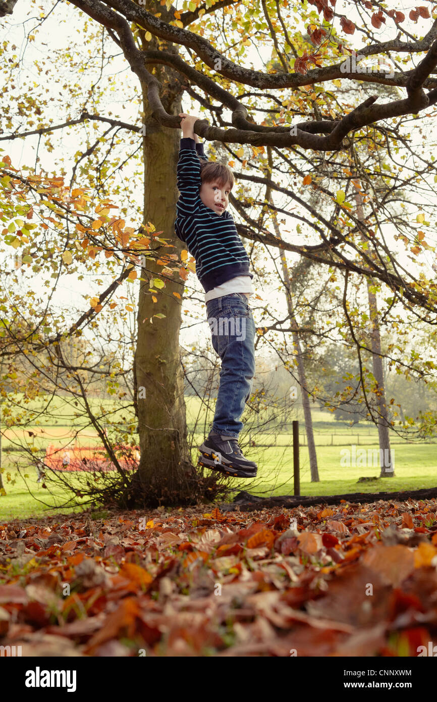 Boy playing on tree outdoors Stock Photo