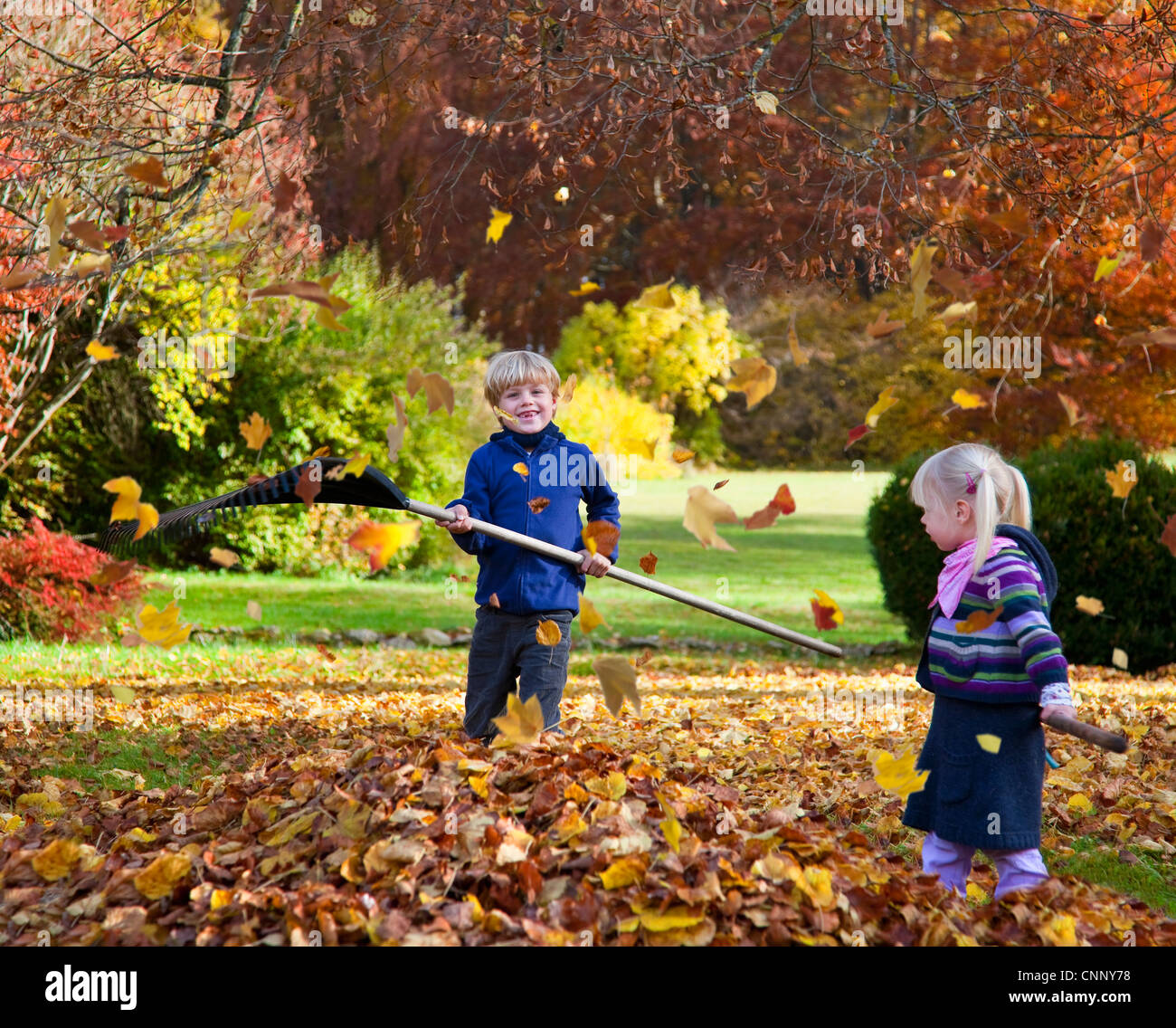 Child Raking Leaves High Resolution Stock Photography and Images Alamy