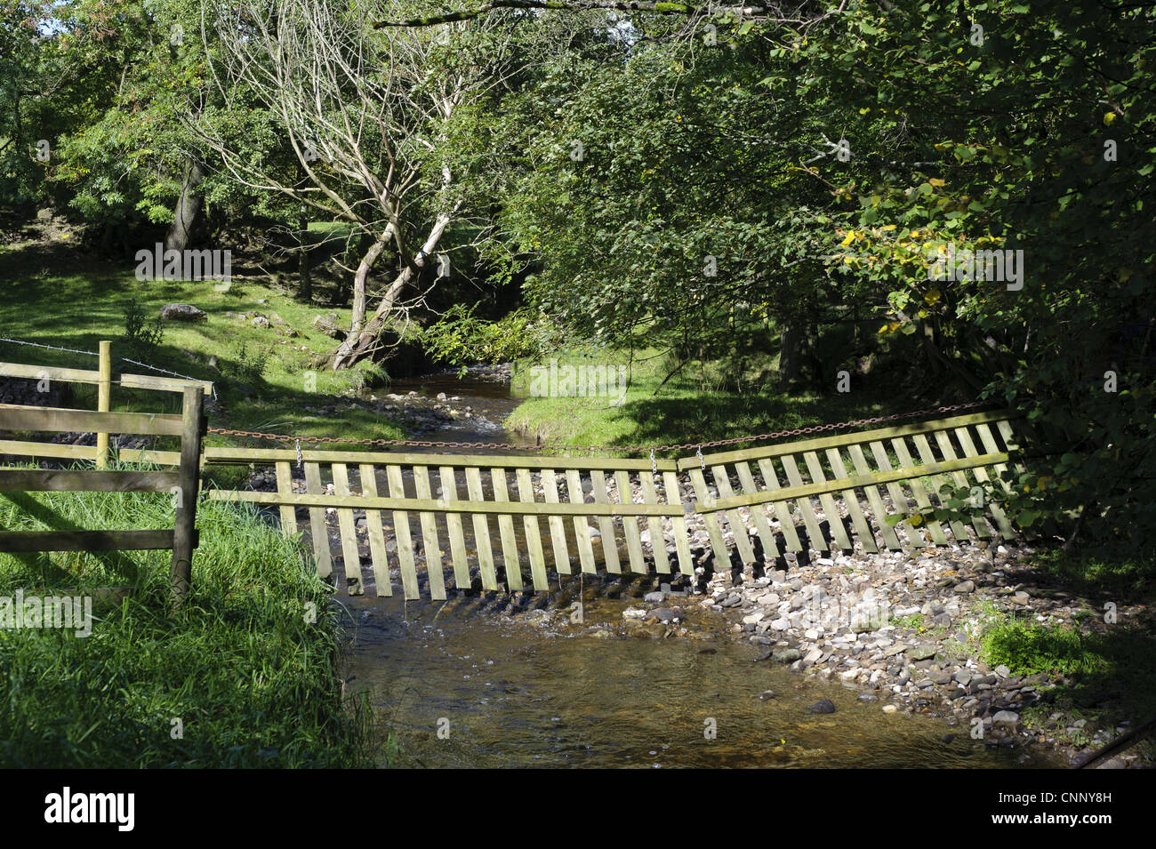 Livestock fence suspended over river, Whitewell, Lancashire, England, october Stock Photo