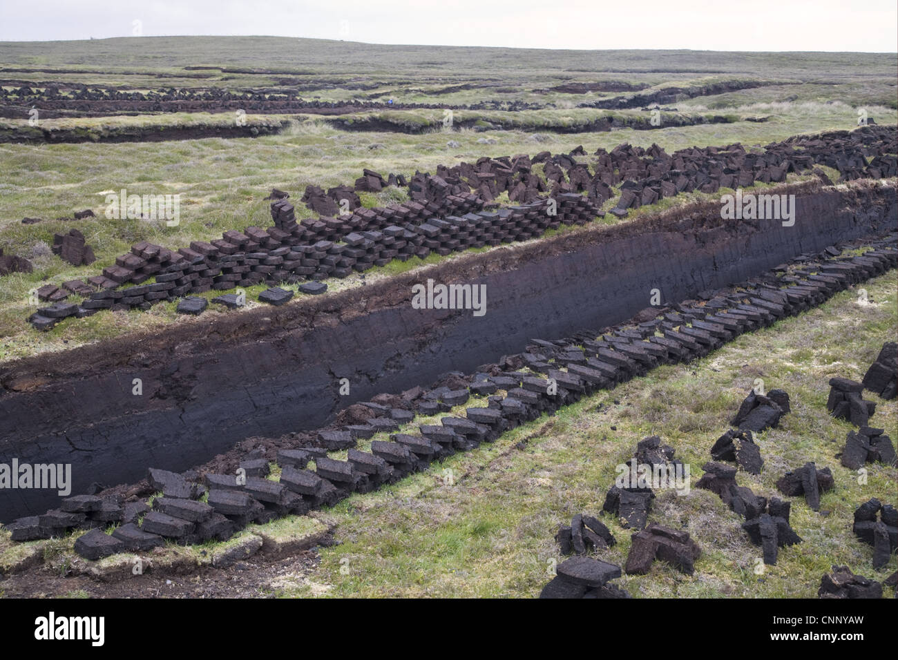 Peat cuttings, seam cut through peat, Mainland, Shetland Islands, Scotland, june Stock Photo